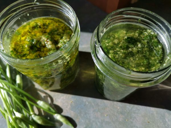 Pesto aus Wildkräutern und Nüssen - Hexen-kochen-praktisch