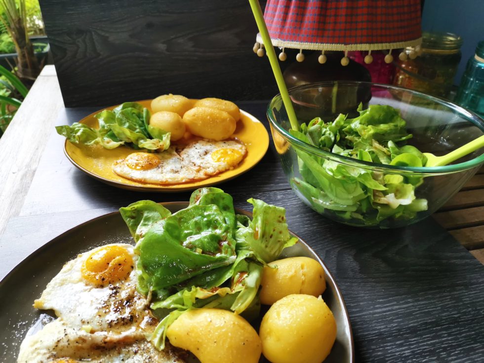 Grüne Bohnen mit Pilzen | Rezept | Hexen-kochen-praktisch.de